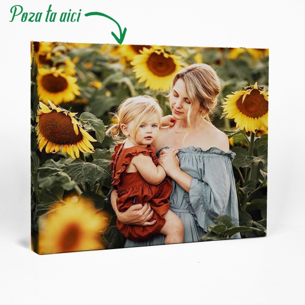 Tablou CANVAS - Personalizabil 60 cm x 40 cm